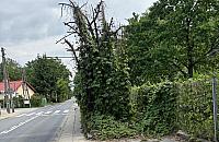 Warszawska ulica od lat bez chodnika. Mieszkańcy boją się o bezpieczeństwo dzieci